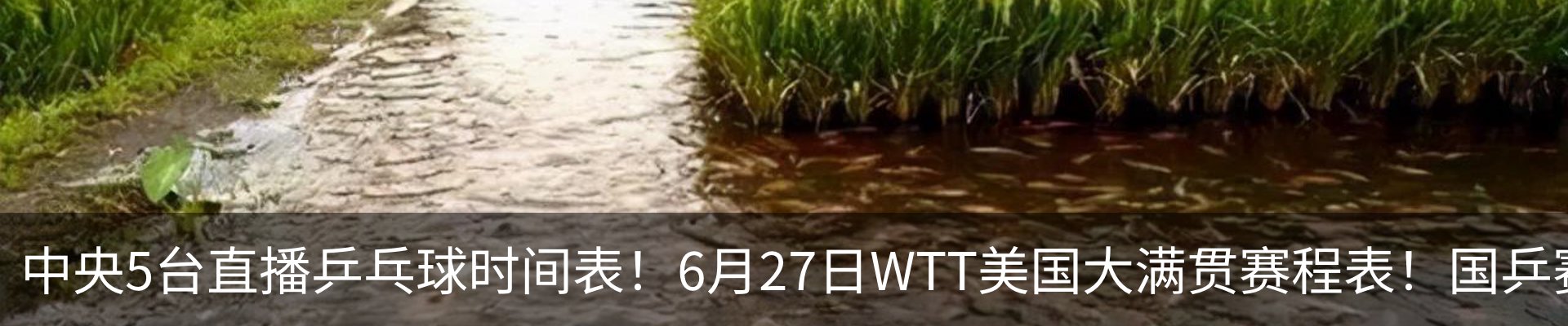 内页banner