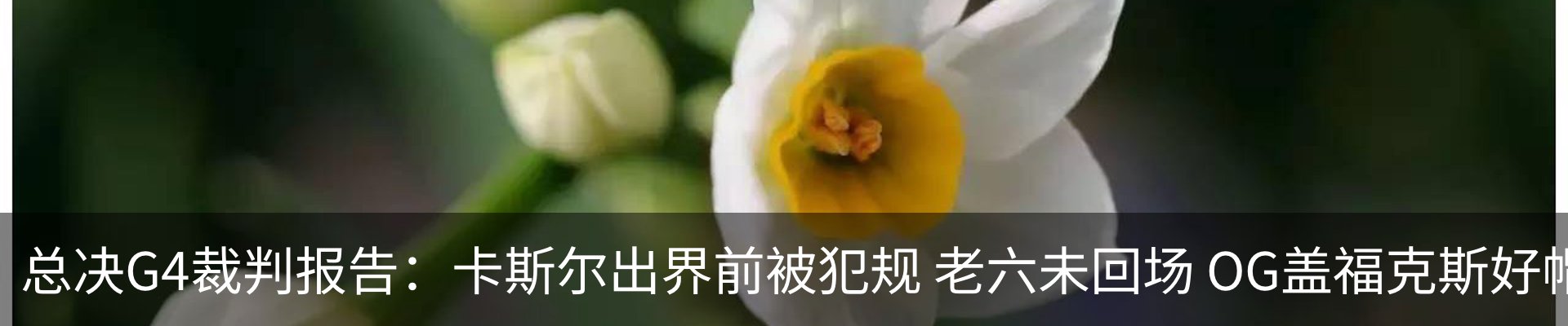 内页banner