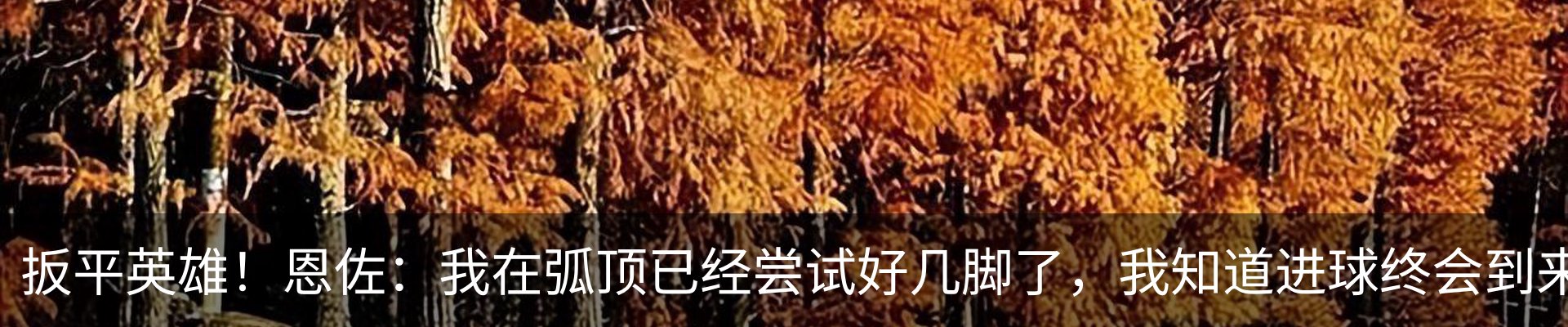 内页banner
