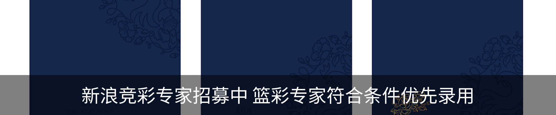 内页banner