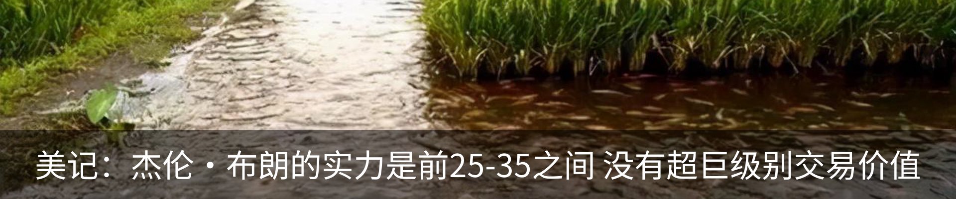 内页banner